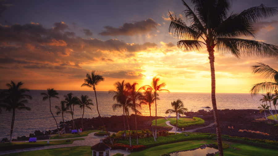 Get Lost In The Mesmerizing Beauty Of The Hawaiian Sunset. Wallpaper