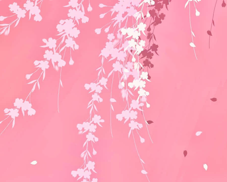 Get Ready For The Next Pink Nation Event With Amazing Deals! Wallpaper