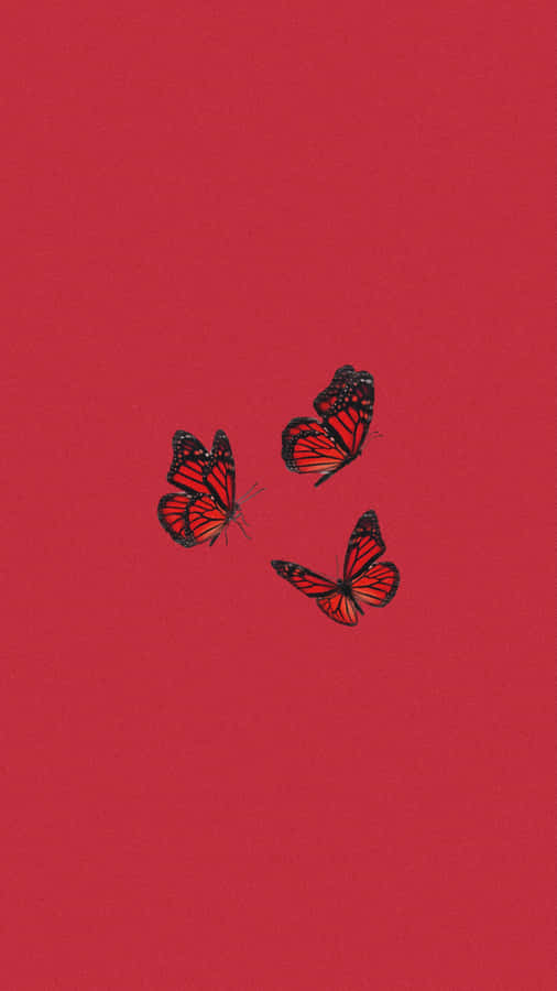 Get The Latest Cute Red Iphone And Stand Out From The Crowd! Wallpaper