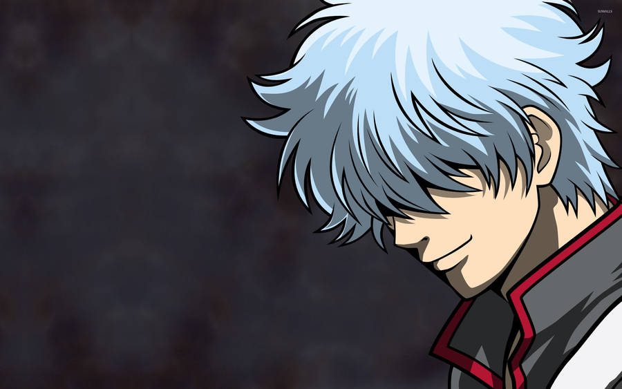 Wallpaper anime, gintama, sakata gintoki, Gintama, gintoki, hijikata  toshiro, okita sougo, gintoki and hijikata for mobile and desktop, section  сёнэн, resolution 5000x2815 - download