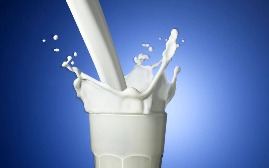 Dairy Products Food Pasteurized Protein Photo Background And Picture For  Free Download - Pngtree