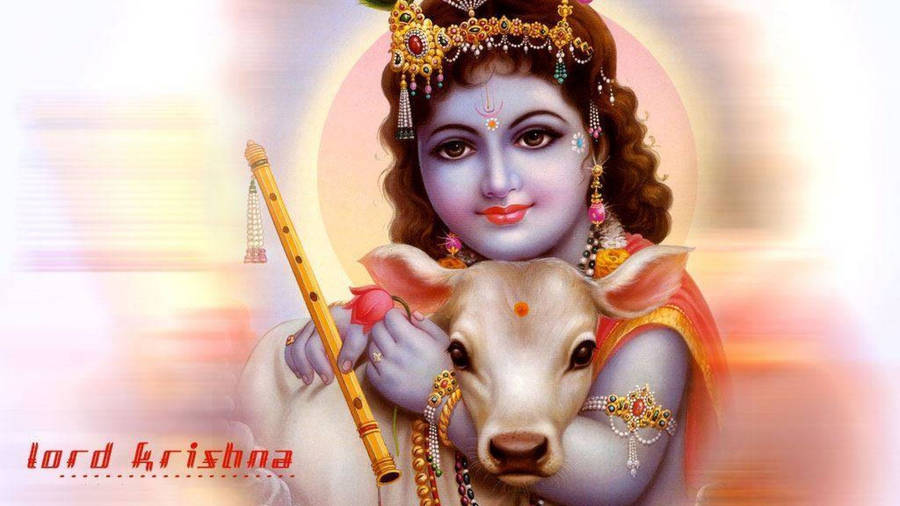 Lord Krishna / Baby Krishna / Bal Gopal Poster Paper Print - Art &  Paintings, Religious, Decorative posters in India - Buy art, film, design,  movie, music, nature and educational paintings/wallpapers at Flipkart.com