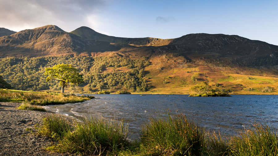 Google Landscape 1920 X 1080 Wallpaper