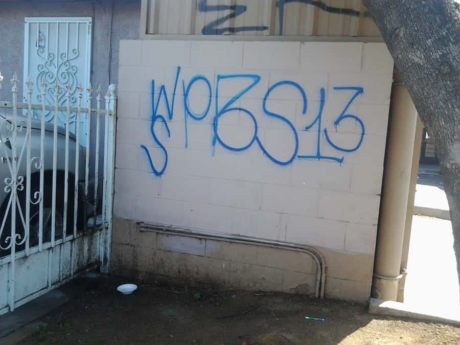 Graffiti W P S13on Building Wall Wallpaper