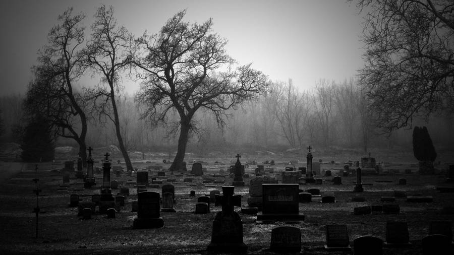 Grayscale Graveyard Wallpaper