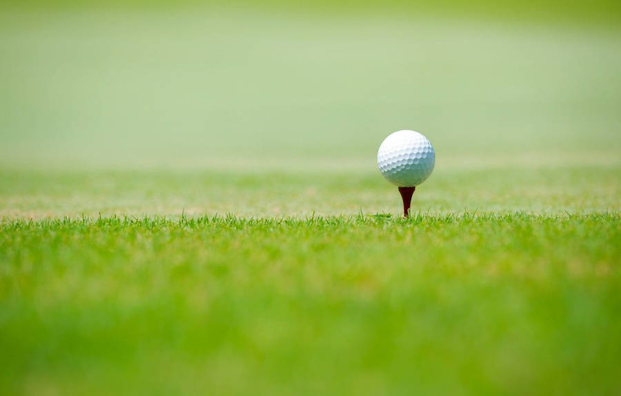 Green Field Golfing Desktop Wallpaper