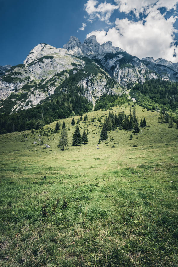 Wallpaper Hallstatt, Gmunden, Austria, Europe, tourism, travel, resort,  Architecture #7025