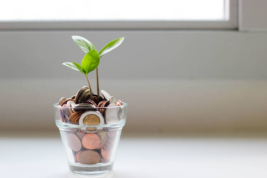 Growing Wealth & Prosperity Wallpaper