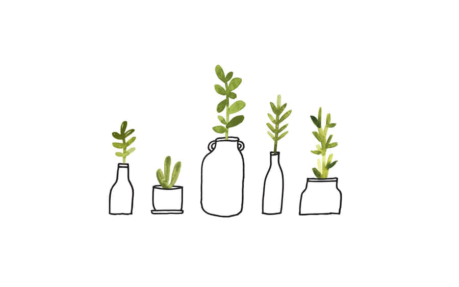 Hand Drawn Plants Nice Desktop Wallpaper