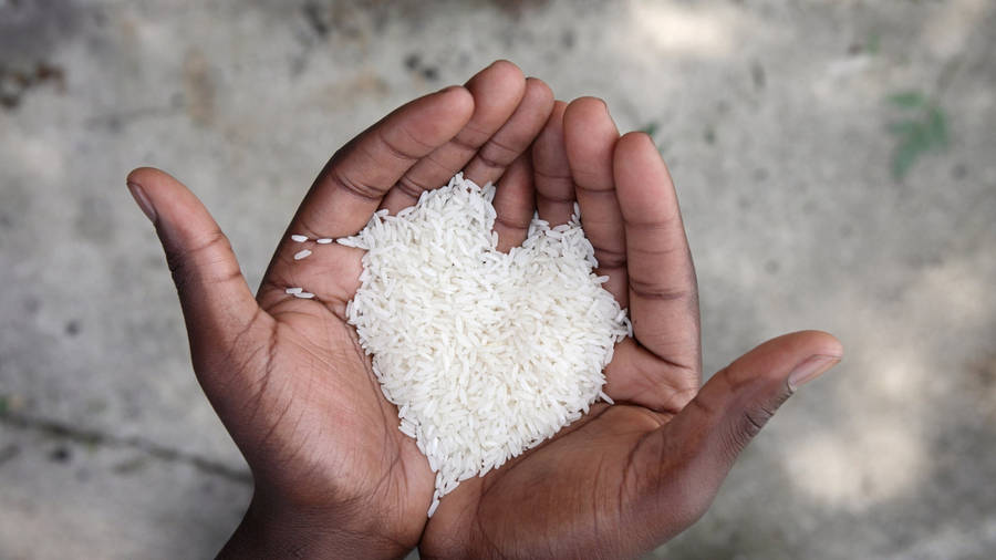 Full Screen White Rice Wallpaper Raw Stock Photo 1701999337 | Shutterstock