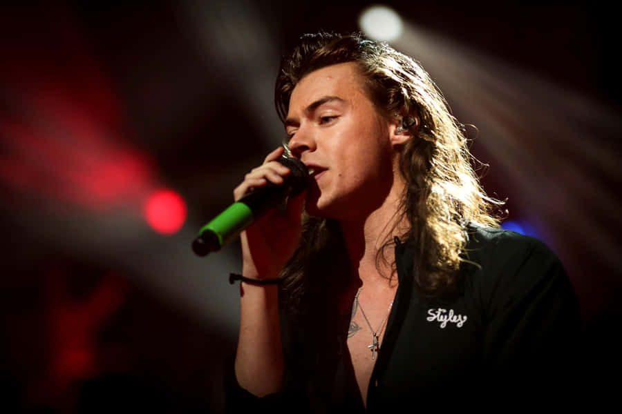 Harry Styles Enjoying His New Laptop Wallpaper