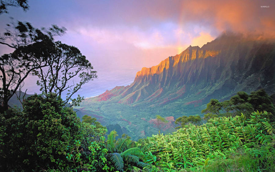 75,000+ Hawaii Wallpaper Pictures