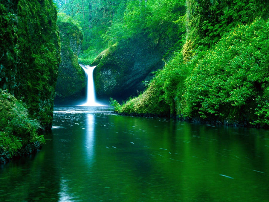 HD Green Waterfall Wallpaper