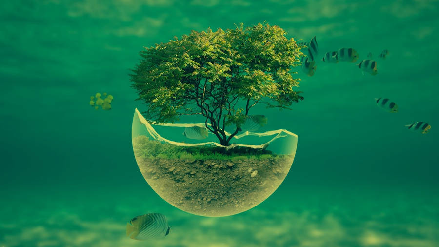 Hd Water With Miniature Tree Wallpaper