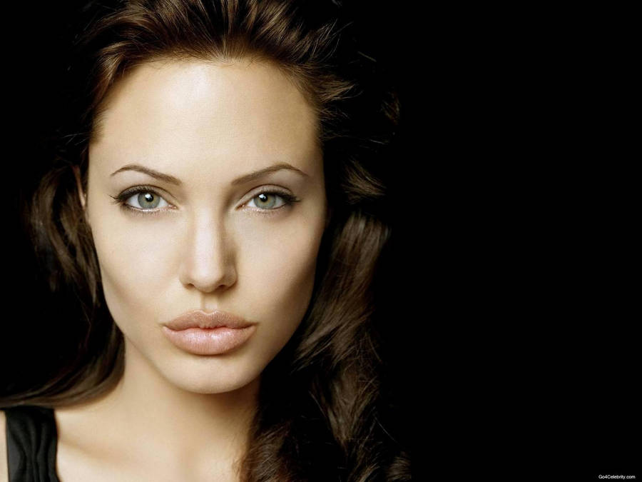 Download free Headshot Of Angelina Jolie Wallpaper - MrWallpaper.com