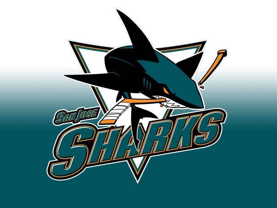 Download free Iconic San Jose Sharks Logo Wallpaper - MrWallpaper.com