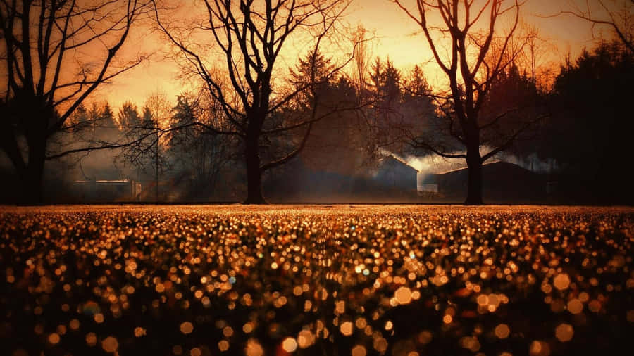 Immerse In The Beauty Of Nature Wallpaper
