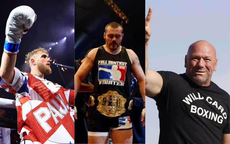 Jake Paul Tim Sylvia Dana White Wallpaper