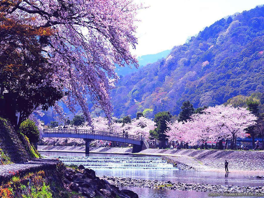 Japanese Desktop With Traditional Patterns Wallpaper