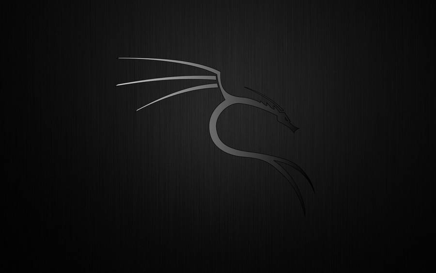 Kali Linux For Mobile posted by Ryan Sellers, amoled terminal linux HD  phone wallpaper | Pxfuel