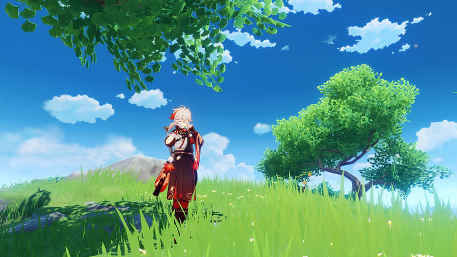 Kazuha Genshin Impact In Game Photo Wallpaper
