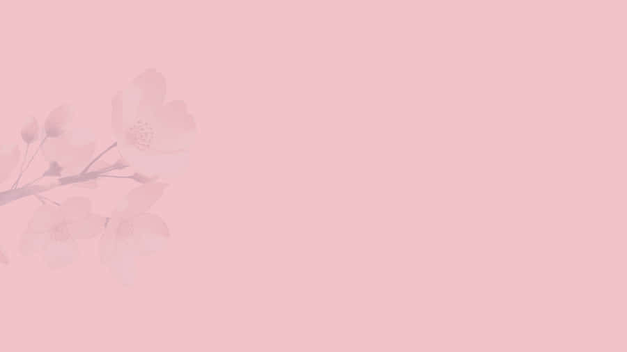 Keep It Simple And Stylish In Pink Wallpaper