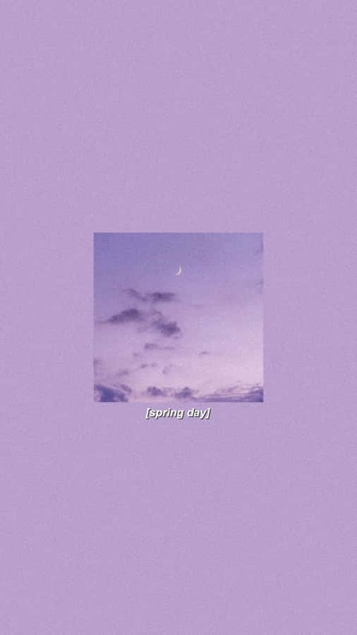Lavender Dreams Wallpaper