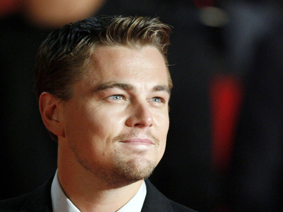 Leonardo Dicaprio HD wallpaper | Wallpaper Flare