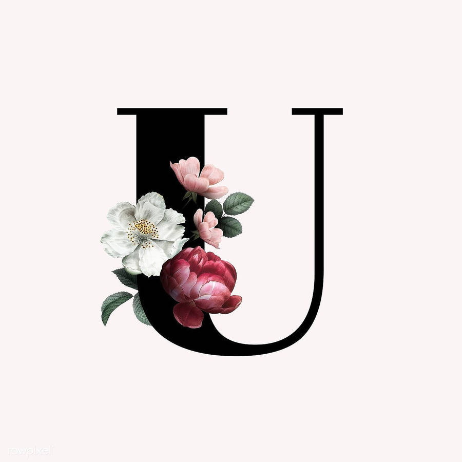 Download free Letter U Initial Monogram Wallpaper - MrWallpaper.com