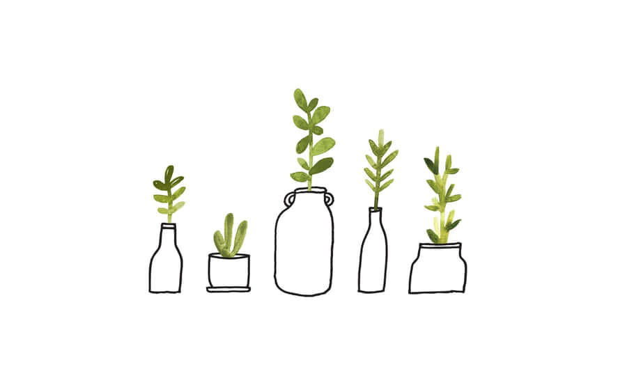 Line Art And Watercolor Minimalist Plant Desktop Wallpaper
