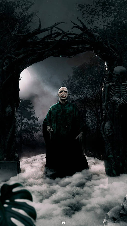 lord voldemort wallpaper