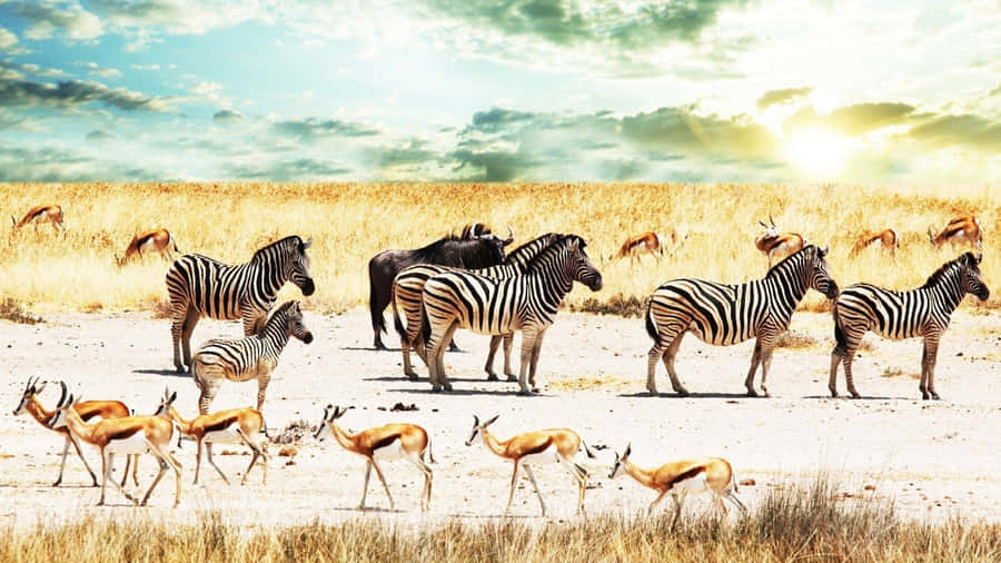 Majestic African Landscape Wallpaper