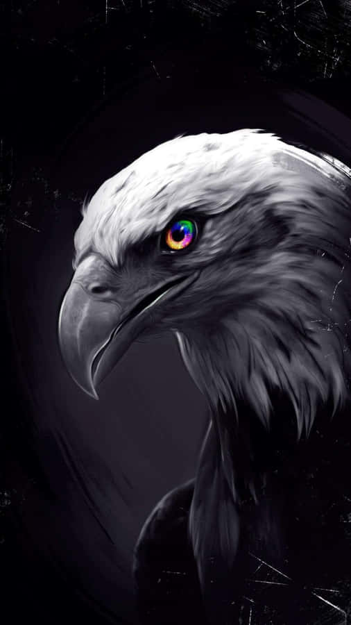 Majestic Eagle In Flight - Wallpaper For Iphone Wallpaper