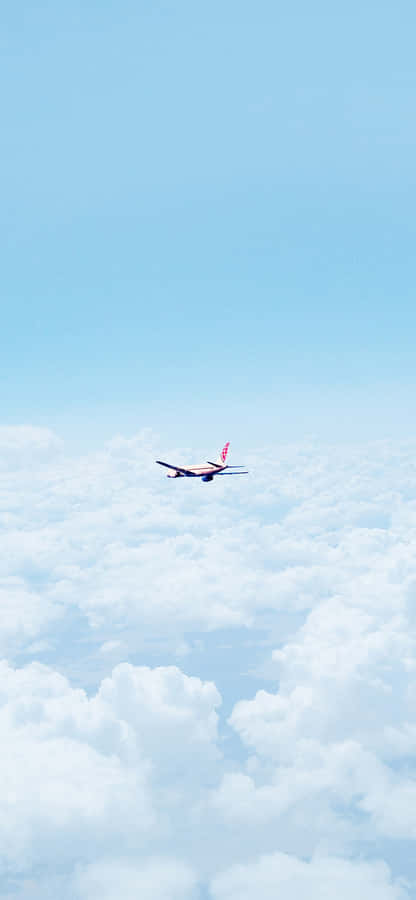 Majesty Of Flight Wallpaper