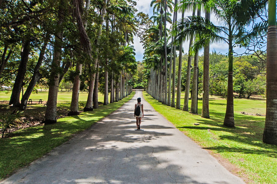 Barbados, Best Vacation HD wallpaper | Pxfuel