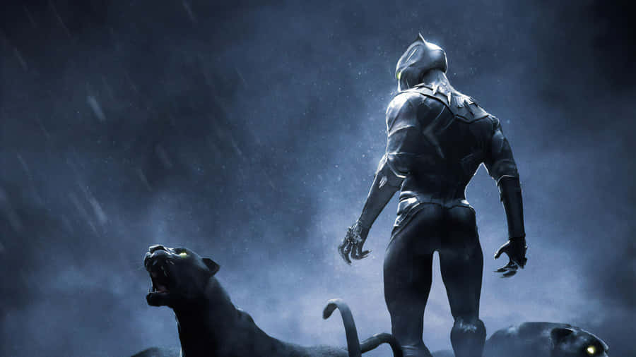 Marvel In Nature's Splendor With A Black Panther Landscape Wallpaper
