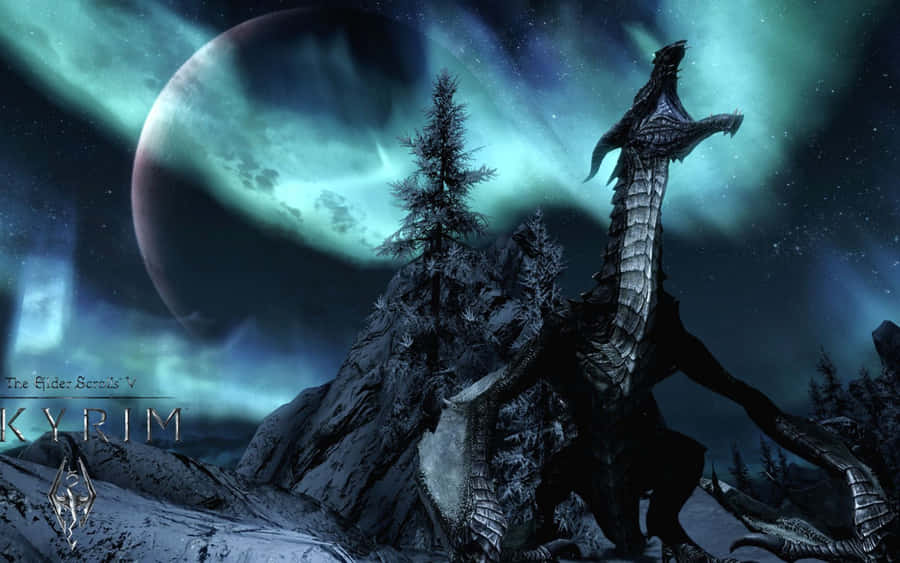 Meet Real Dragon - A Force To Be Reckoned With Wallpaper