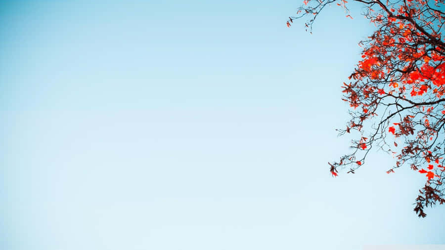 Mellow Pastel Blue Sky Aesthetic Desktop Wallpaper