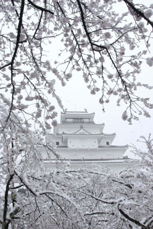 Minimalistic And Peaceful View Of Japan Wallpaper