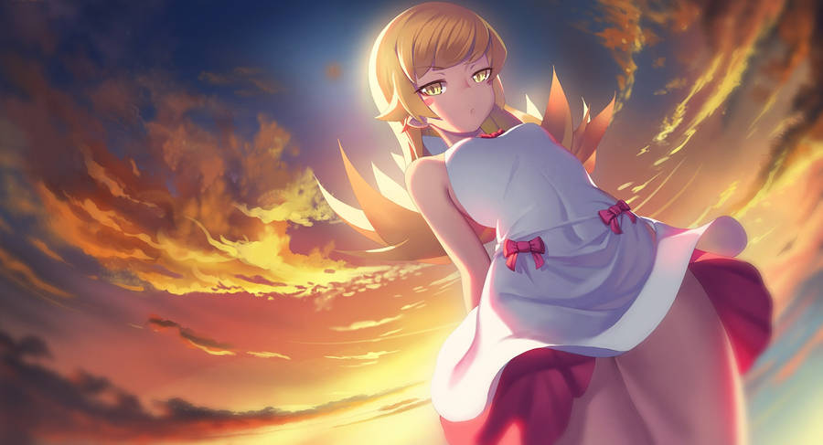 Bakemonogatari 4K wallpapers for your desktop or mobile screen free and  easy to download