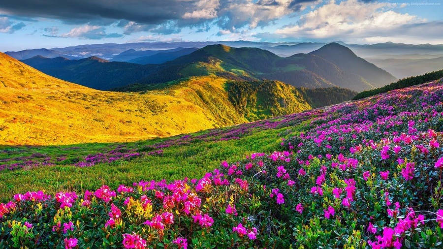Mountains Wallpaper And Background Wallpaper