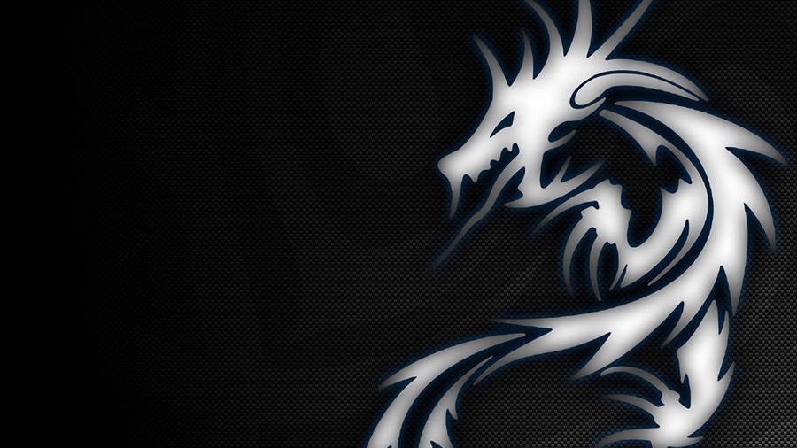 Dragon hd wallpapers, hd images, backgrounds
