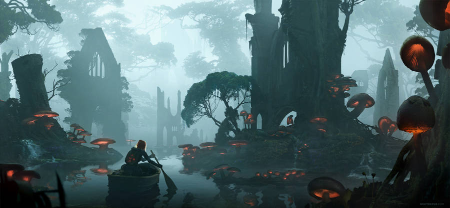 Mushroom Forest Fantasy Art Wallpaper