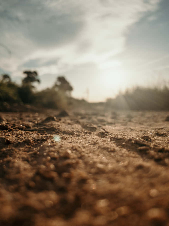 Natural Brown Earth Soil Wallpaper