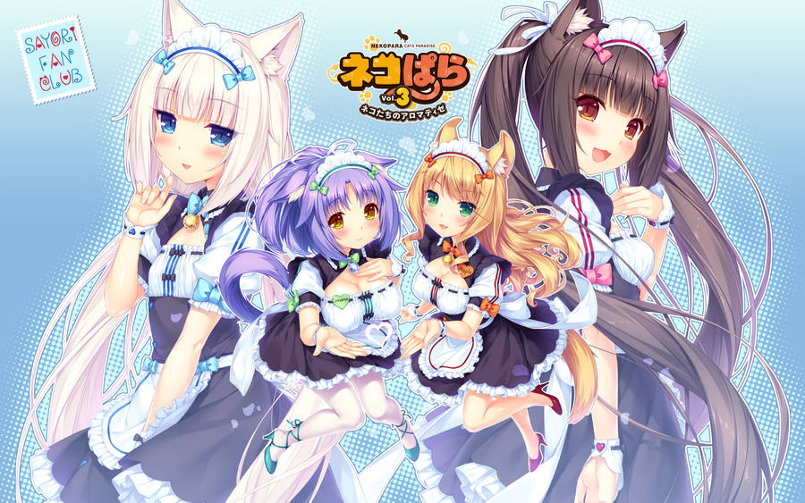 Anime girl on a picnic, Neko Para and ..., nekopara HD wallpaper | Pxfuel