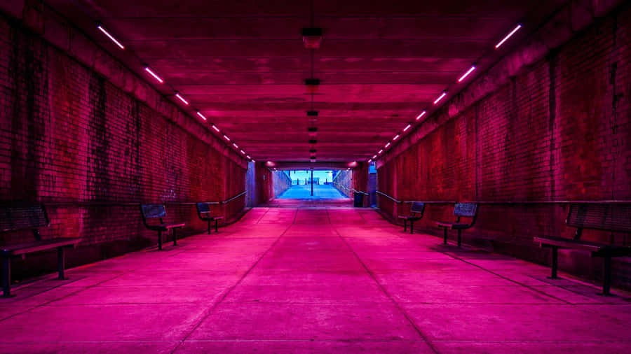 Neon Explosion Of Color Wallpaper