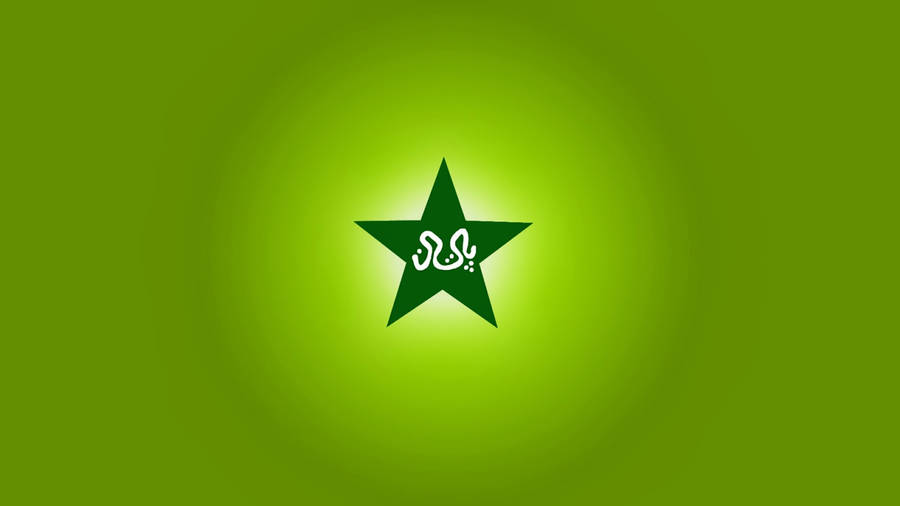 Pakistan Cricket Flag - Custom Flag Australia