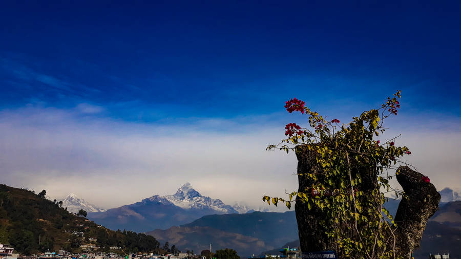 Pokhara | Selective Asia