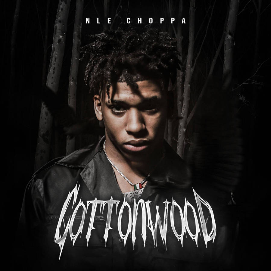 Download NLE Choppa brings his signature style to the music industry  Wallpaper | Wallpapers.com