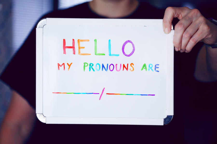 Explore the Best Preferred_pronouns Art | DeviantArt